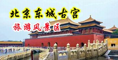 xvideos成人欧美中国北京-东城古宫旅游风景区